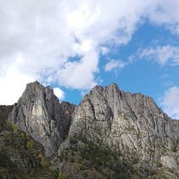 �����, 37 ���, �������