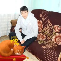, , 66 