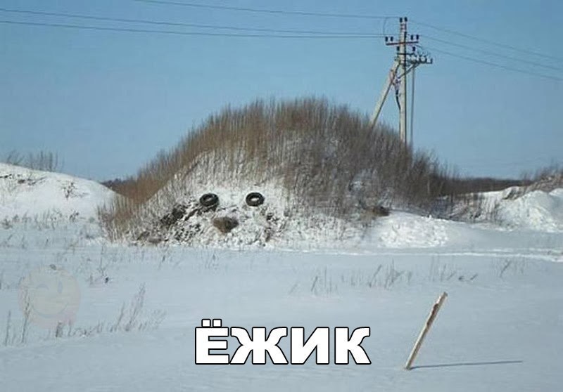    :D - 10  2017  18:14
