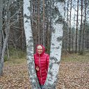 ���� ���������, ������ �������� - ��������� 3 ������ 2016 � ������ ���� ����������