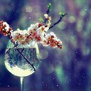  , ,  ,   , ,  ,     ;  ,     ,  ,   .  ,   .  ,     .     . . . .    -  !    