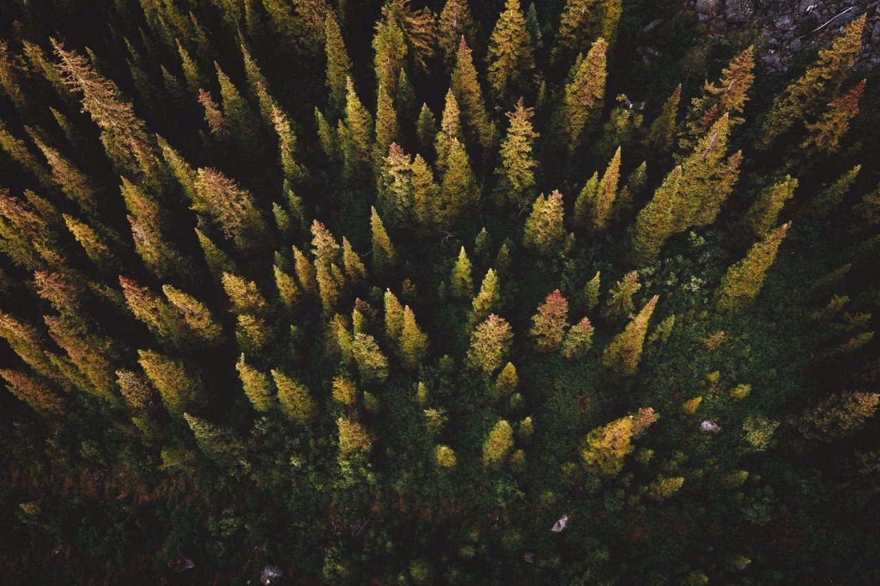 , .#@travel.blog - 5