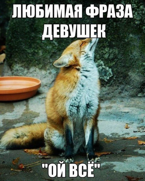   - 14  2017  20:11