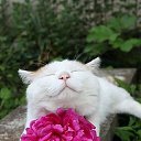 ���� �������, ������ ��������, 66 ��� - ��������� 6 ������ 2017 � ������ ������ ��������