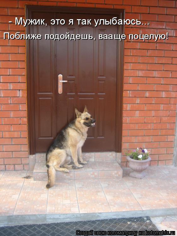  -  - 12  2016  20:22