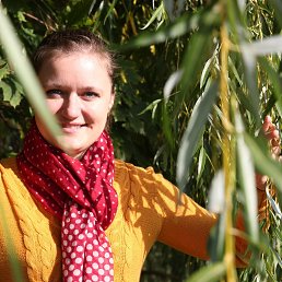 ���������, ��������, 40 ���