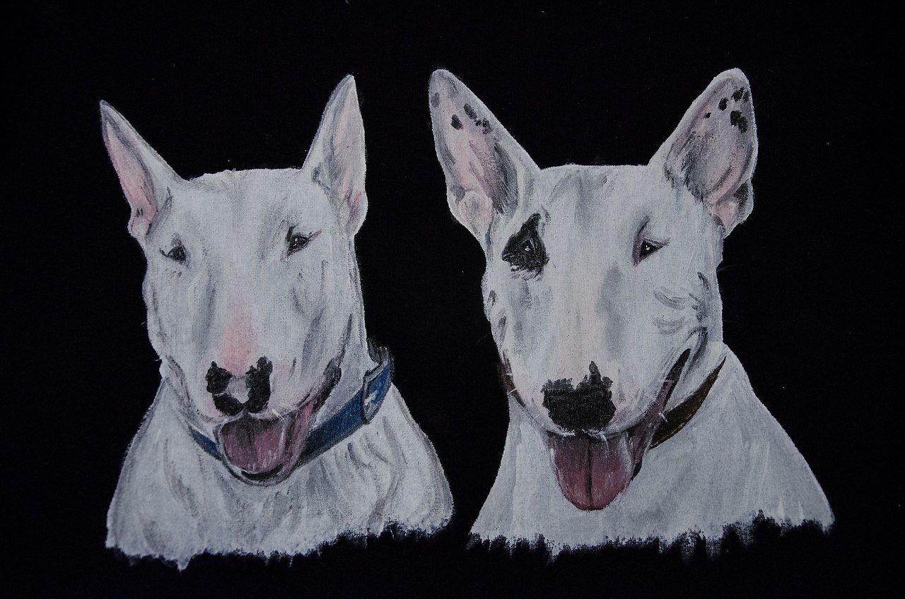 Hrafnsmerki things - https://fotostrana.ru/away?to=/sl/7feПредставляет вещички с авторским принтом, ...