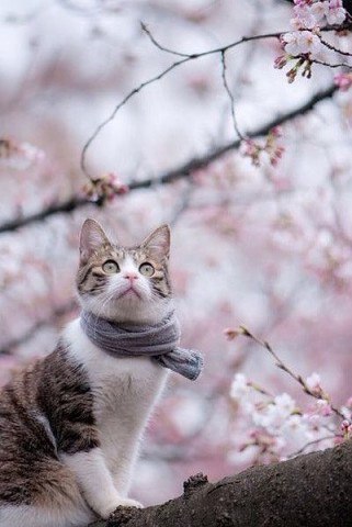  - 16  2017  19:48 - 2