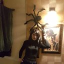 ���� �������, ������ - ��������� 26 ������ 2016 � ������ ���� ����������