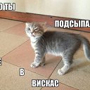 ���� �����, ������ - ��������� 31 ������� 2016 � ������ ���� ����������