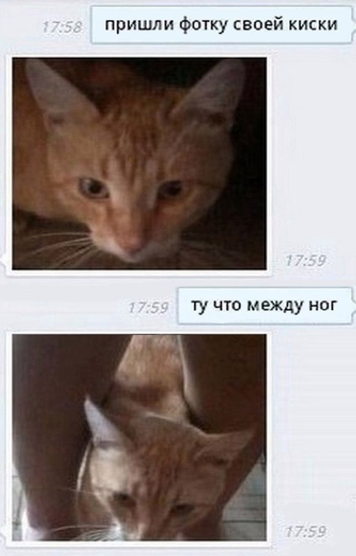    :-) - 11  2016  10:37