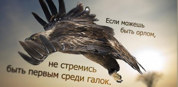 ������� ���� ������������� ����. ����� �� ���� ��������, ������� ����������� ������� � ������, ... - 55