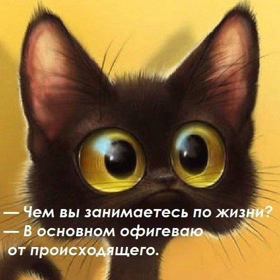   - 20  2017  11:48