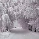 ���� ������ ���� 351, �������, 63 ���� - ��������� 11 ������ 2017 � ������ ������
