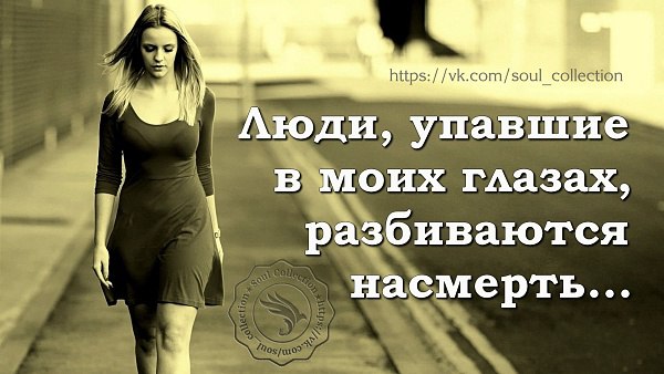 ,    ,  ... #Soul_of_Collection ...