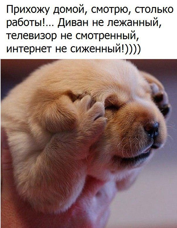     - 1  2016  15:07