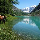  , -, 53  -  7  2016    .