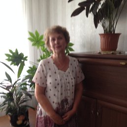 �����, ���, 74 ����