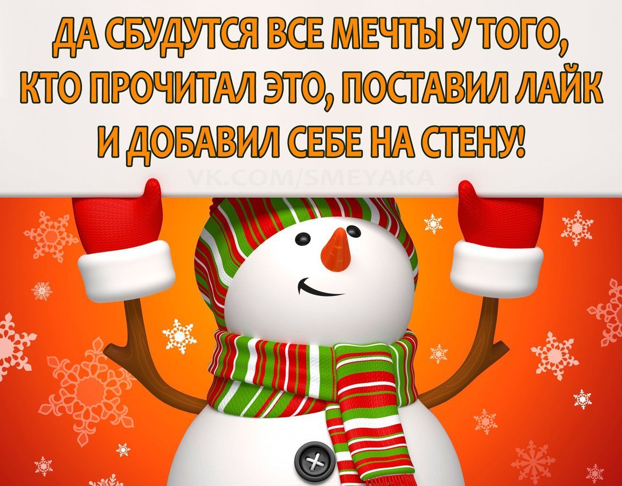    :D - 8  2016  19:04