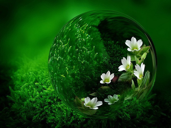 ))). Monuela Moya "Expecty" Monuela Moya "Expecty" ... - 20