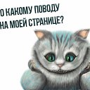 ���� ����, �����������, 66 ��� - ��������� 8 ������� 2016 � ������ ������ ��������