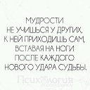 ���� Sibirinka, ����������, 44 ���� - ��������� 29 ������ 2016 � ������ ������ ��������
