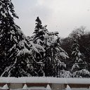 ���� �������, ����, 55 ��� - ��������� 30 ������ 2017 � ������ ���� ����������