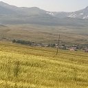 ���� Miasnik, ������, 70 ��� - ��������� 16 �������� 2016 � ������ ���� ����������