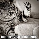  .. .,  -  31  2016       