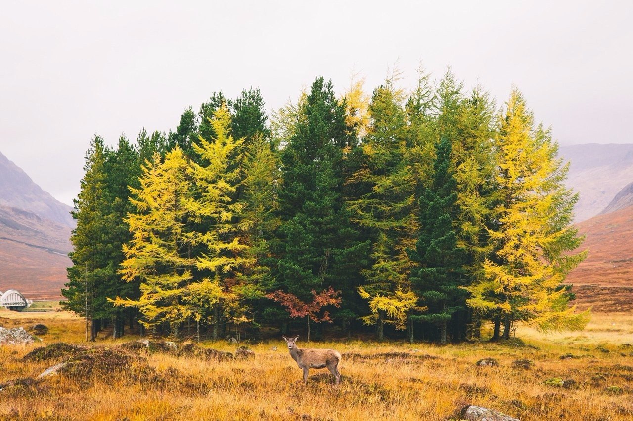  .#nature@travel.blog