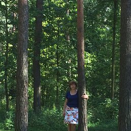 ����, �����-���������