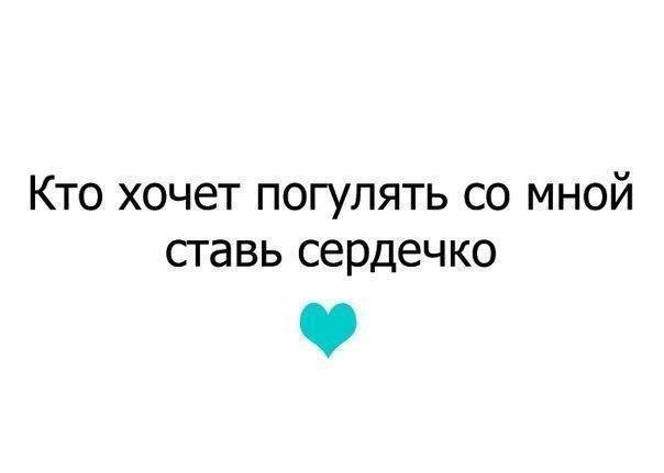    - 3  2016  13:01