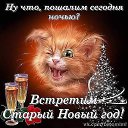  ,  -  22  2016   well