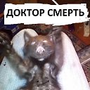 ���� ����, �����, 54 ���� - ��������� 1 ������ 2017 � ������ ������ ��������