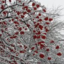 ���� �����, ������, 58 ��� - ��������� 10 ������ 2016 � ������ �������