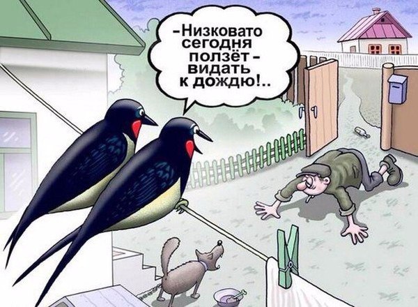   - 28  2016  04:00