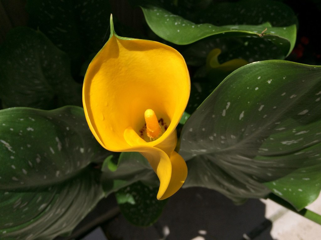  ! - 22  2016  13:02 - 2