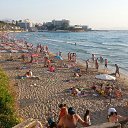  Alex, , 49  -  13  2016    