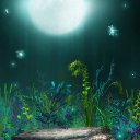  ,  , 23  -  12  2017    