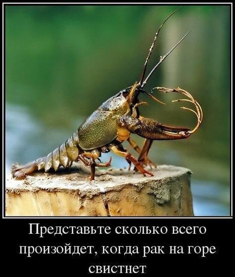 ������ �� ��� :D - 9 ������ 2016 � 02:36