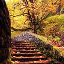 ���� �������, ����� - ��������� 31 ������� 2016 � ������ ���� ����������