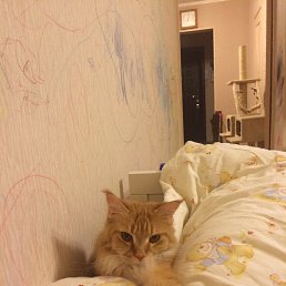 �������, ������, 56 ���