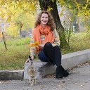 ���� �������� ����������, ������������, 57 ��� - ��������� 3 ����� 2017 � ������ ���� ����������