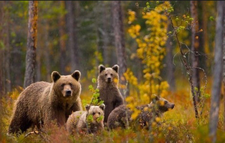    ...     ...      ... - 11