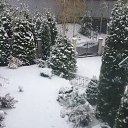 ���� Lana, ���������� - ��������� 31 ������ 2017