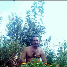 ���� ����, ���������, 63 ���� - ��������� 22 ������ 2016