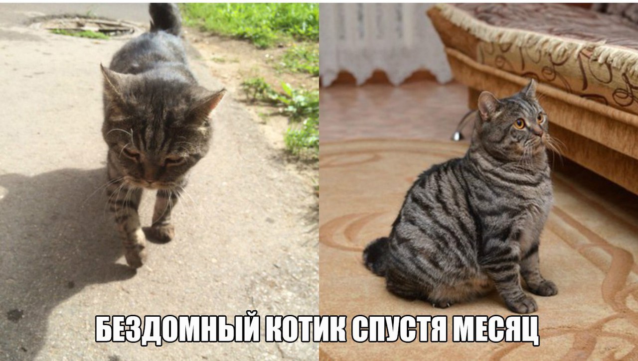#_