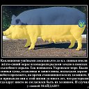 ���� �����, ������ - ��������� 19 �������� 2016 � ������ ������ ��������