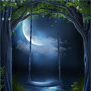  ,  , 23  -  12  2017    