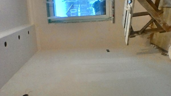 ���� - 24 ������ 2017 � 13:43 - 95